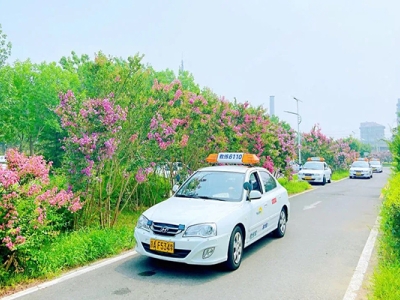 北京東方時尚駕校訓練車輛