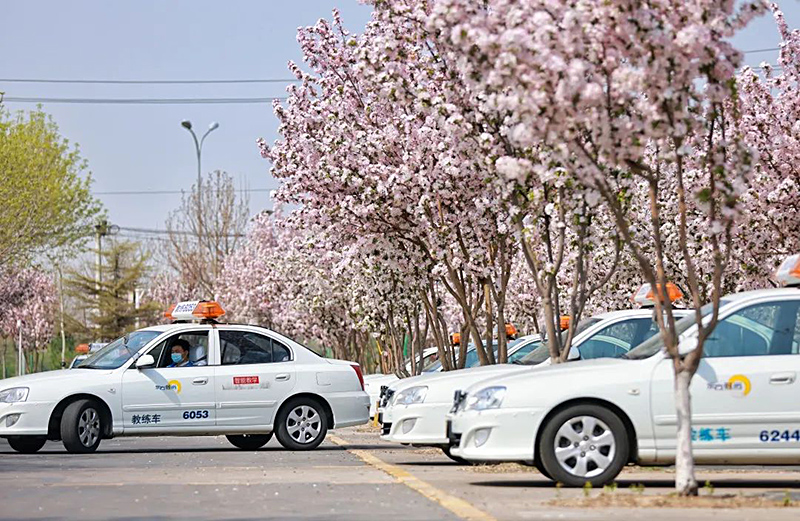 來北京東方時尚駕校，赴一場春天之約