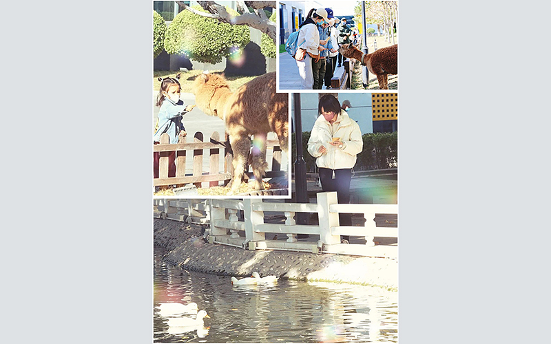 北京北京東方時尚校區場地一角